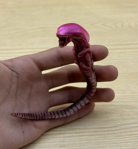 Scale animal predator - scale,