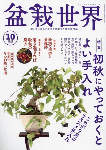 Bonsai world october - world,