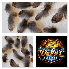 Woodcock Hackle Back Feathers