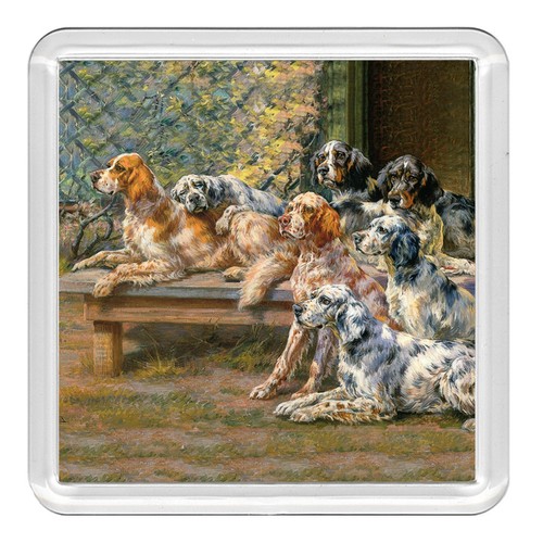 English setter dog - english, acrylic