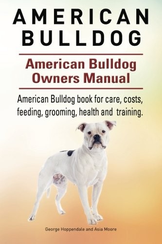 American bulldog - american,