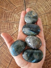 **RARE - Very LARGE** XL