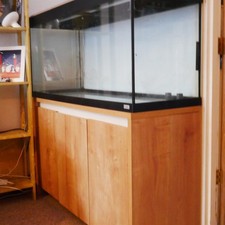 Fluval Roma 240 Litre Aquarium