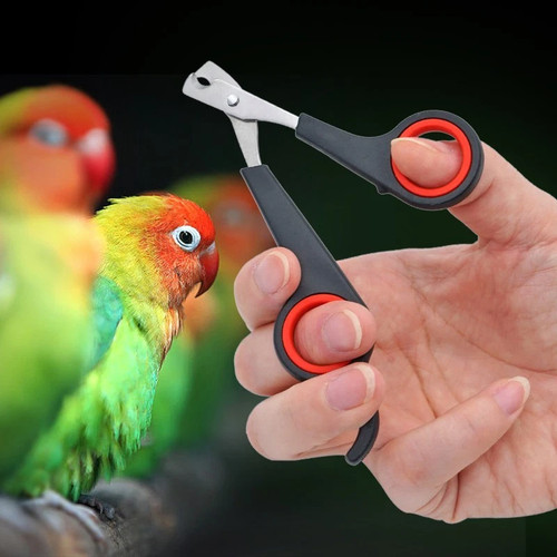 Pet nail clippers trimmer - pet,