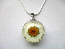 DRIED FLOWER DAISY PENDANT NECKLACE BOHO. STERLING SILVER PLATED CHAIN