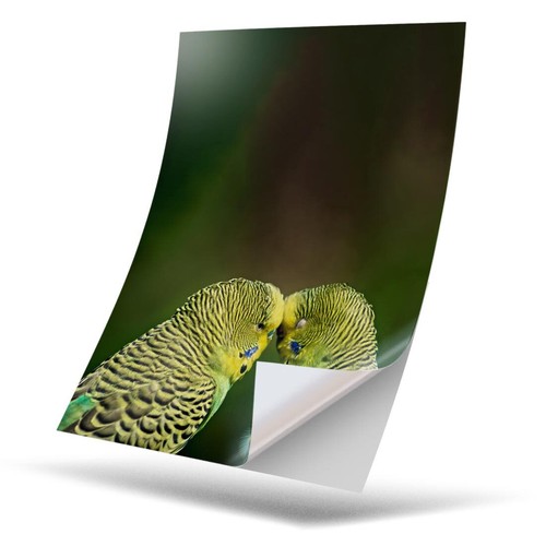 Vinyl sticker green - 1, x