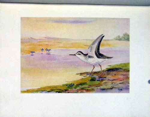 Original old vintage print - old,