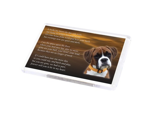 Boxer dog fridge magnet pet - dog,