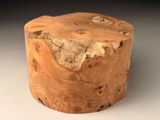 Large Turning Blank  Burr Elm