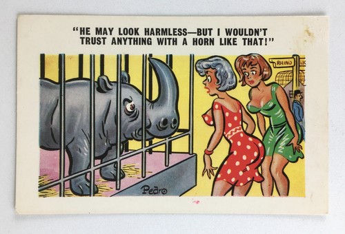 Vintage postcard saucy humour - saucy,