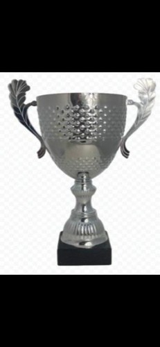 Silver trophy cup - cup,