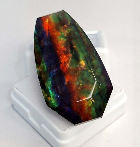 Natural ammolite fancy cut - natural,