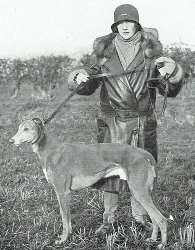 South england hare - south,