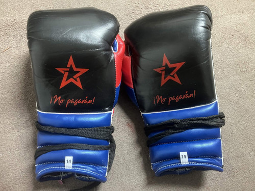 Hernandez boxing champs 14oz - hernandez,
