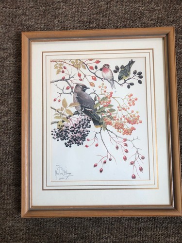 Ltd edition framed - edition, signed