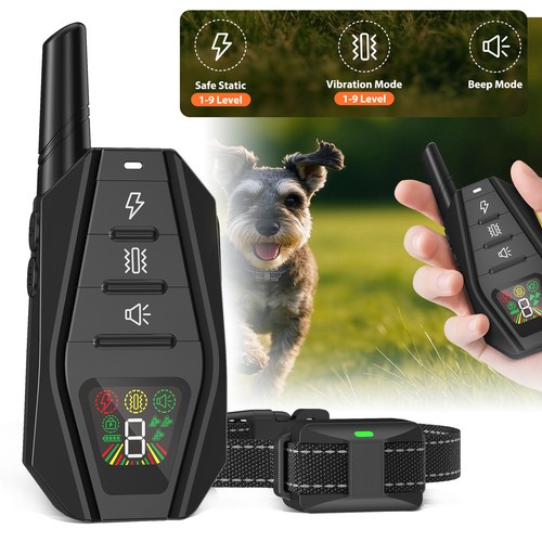 Dogs training collar - training,
