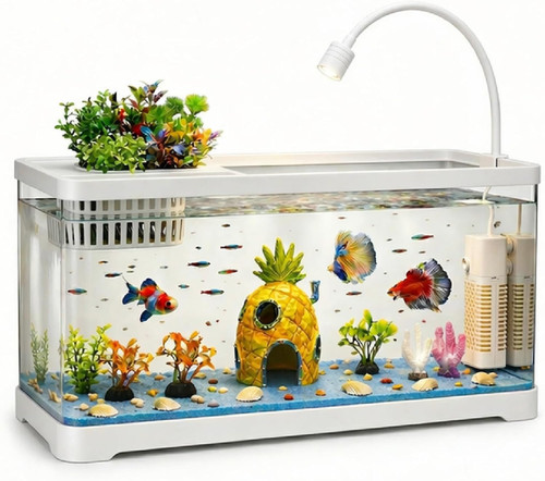 Gallon fish tank - gallon,