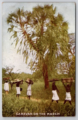1909 roosevelt african - 1909, safari