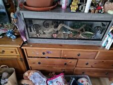 PetBasic Ultimate Full Bearded Dragon Set Up Vivarium Electrics 3×2×2 Vivarium 