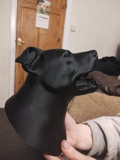 STAFFORDSHIRE BULL TERRIER