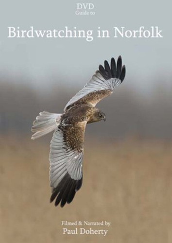 Birdwatching norfolk dvd - birdwatching,