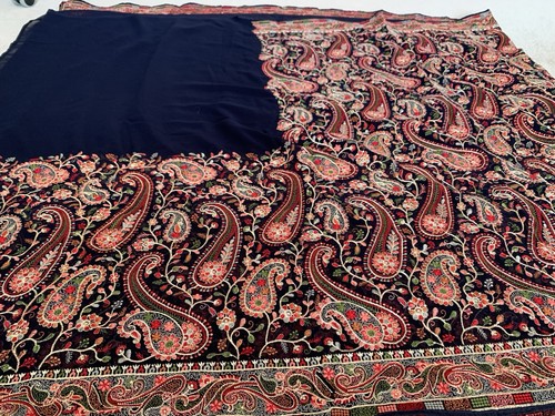 New indian saree with paisley - with,