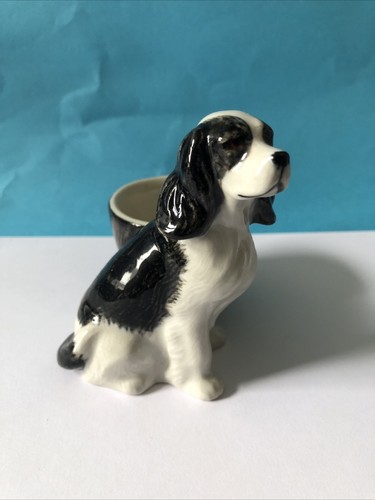 Black and white spaniel egg - white,
