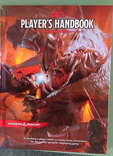 d d players handbook