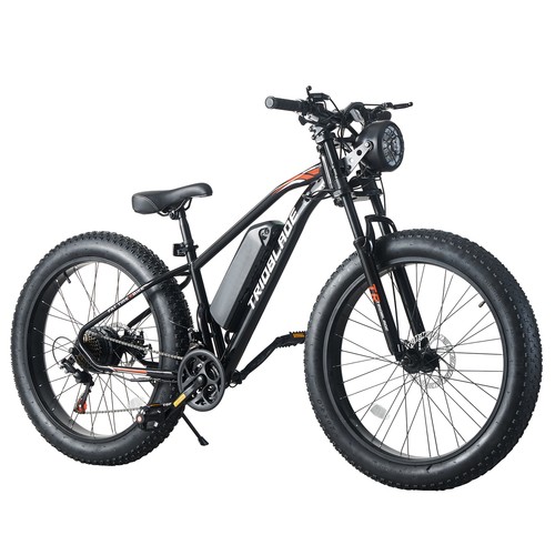 Electric bike adult - electric, fat