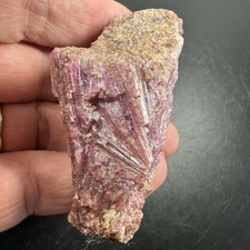 Rubellite Tourmaline Pink Crystal Cluster Mineral Display Specimen 88 Grams