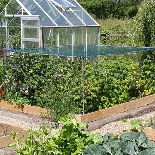 Fruit and vegetable - and, cage