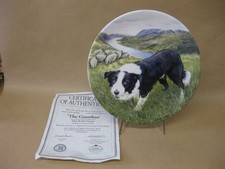 Border Collie Decorative Plate