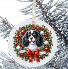 King Charles Cavalier Spaniel