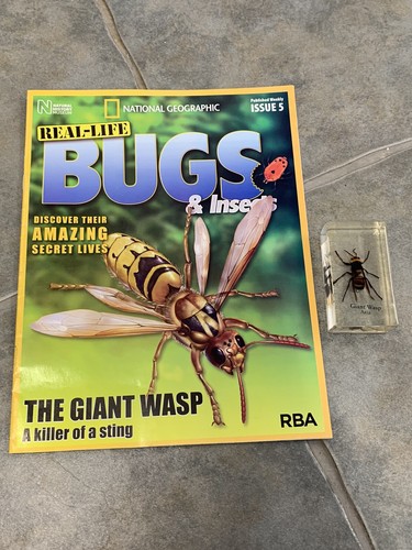 Giant wasp bugs - wasp, issue