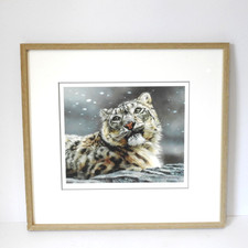 Willem S de Beer Tiger Print