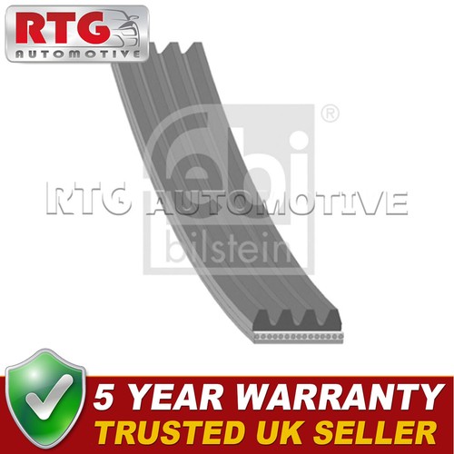 Power steering belt - steering, fits