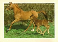 Open Happy Birthday Vintage