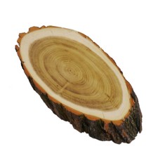 Deer Trophy Plaque ACACIA