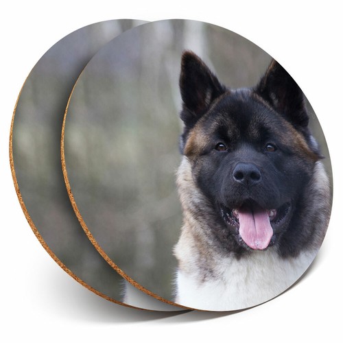 Coasters adult akita - 2,