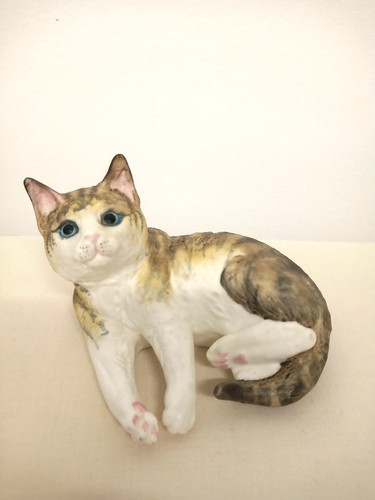 Royal worcester kittens - worcester,