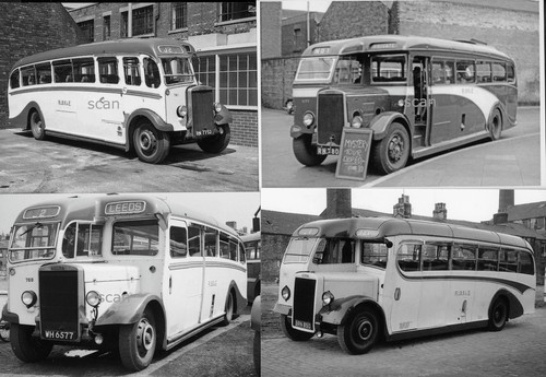 Bus photos ribble - 13,