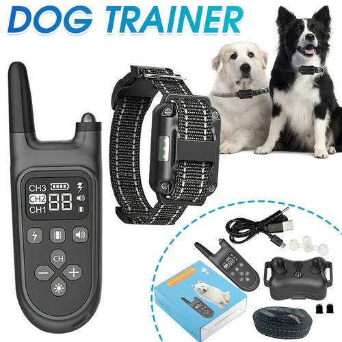 Pet dog training collar - dog,