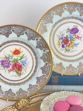 Pair of Paragon 9 inch cabinet plates, filigree gilding and flowers, aqua ground