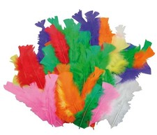 PBX2470221_D - Playbox - Turkey Feathers Coloured 60 Pcs (Damaged Box)