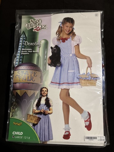 Wizard dorothy costume - wizard,