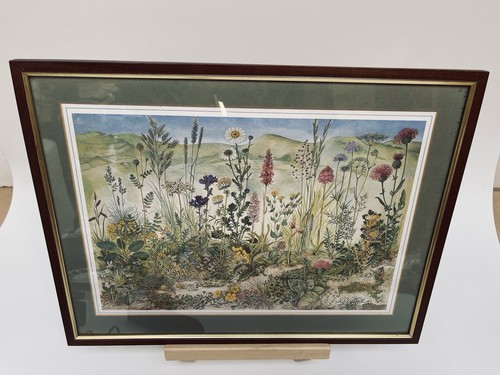 Chalk grasslands poster - chalk, 1973