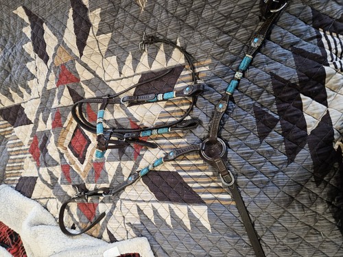 Circle turquoise roundup - circle,
