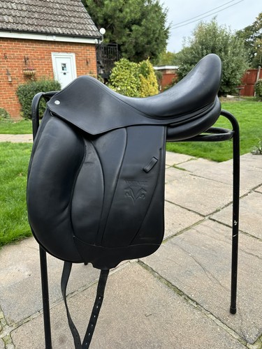 Voltaire adelaide dressage - voltaire,