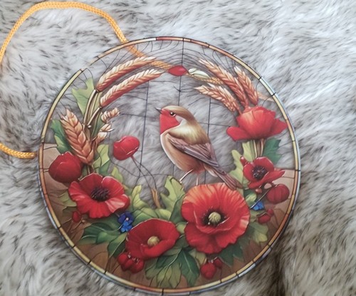 Beautiful robin and poppy - beautiful,