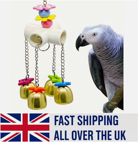 Bird cage biting - cage, toy